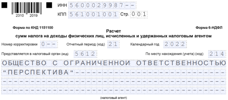 Как заполнить 6 ндфл в камине