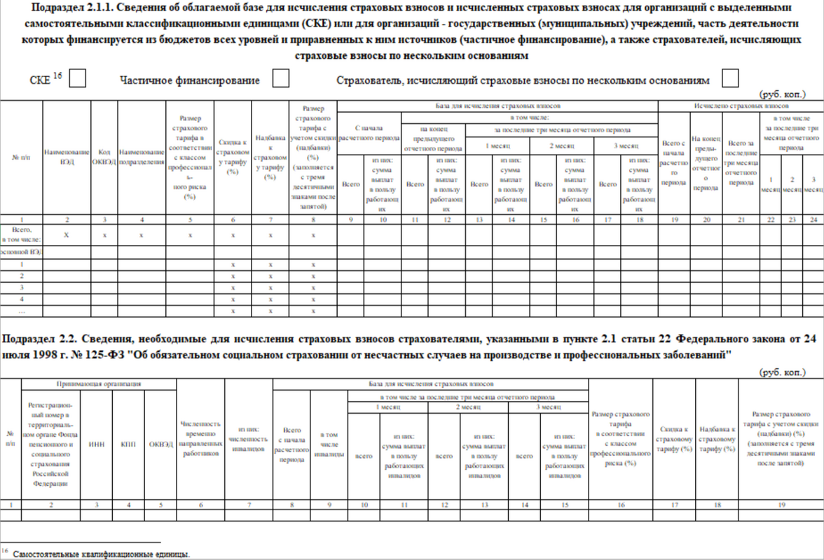 Форма раздела 2 ЕФС-1 — бланк (2)